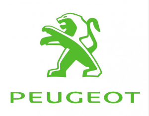 Peugeot Timingset car tool