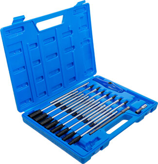 Special T-Handle Screwdriver Set 19 pcs