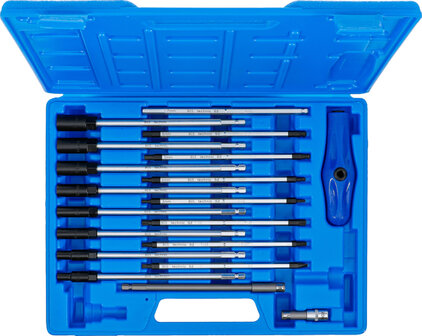 Special T-Handle Screwdriver Set 19 pcs