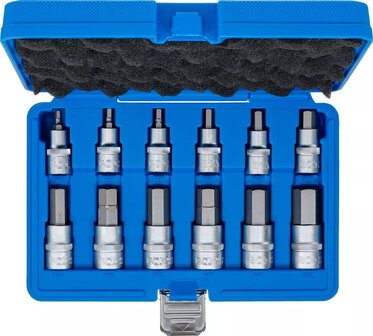 Bit Socket Set | 12.5 mm (1/2) drive | internal Hexagon | 12 pcs.