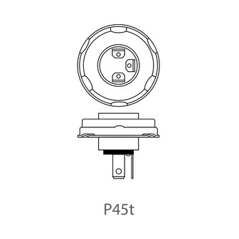 Car bulb 12V 45/40W P45t in box x10 stuks