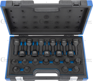 Impact Socket Bit Set 3/4 tx-star / hexagon 22-pcs