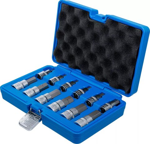 Bit Socket Set | 12.5 mm (1/2) drive | internal Hexagon | 12 pcs.