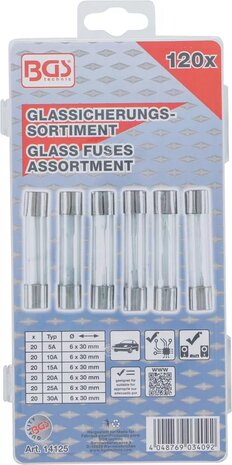 Glass Fuse Assortment 120 pcs.