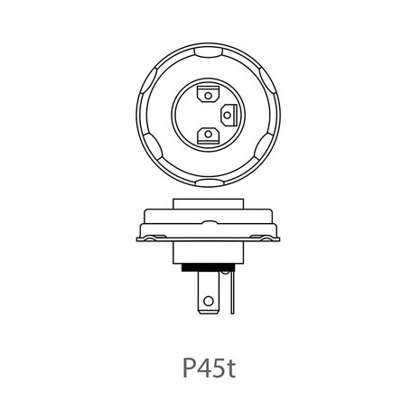 Car bulb 12V 45/40W P45t in box x10 stuks