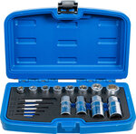 17-piece Screw and Stud Extractor Set