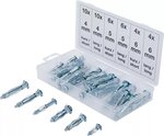 40-piece Molly Bolt Assortment