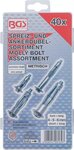 40-piece Molly Bolt Assortment