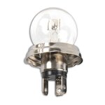 Car bulb 12V 45/40W P45t in box x10 stuks